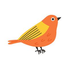 Spring bird illustration