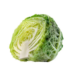 Fototapeta premium Chopped green cabbage food photography fresh produce cooking concept