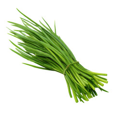 Fototapeta premium Fresh chives harvested food photography culinary presentation isolated view vibrant green colors