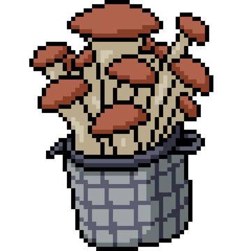 pixel art of full mushroom growth basket