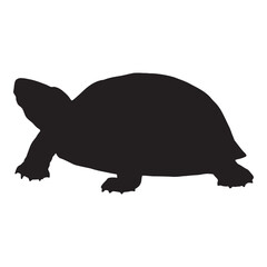 Standing Turtle Silhouette Design for Wildlife and Nature Illustration.eps