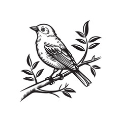 Bird silhouette on branch