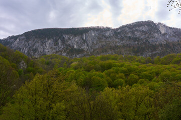 Forest and cliffs under cloudy sky