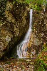 Obraz premium Forest waterfall over mossy rocks