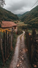 Winding Path Through Countryside