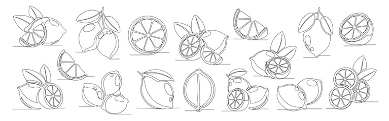 Lemon continuous one line drawing set. Outline lemon citrus icon collections isolated on a white background. Editable stroke. Vector illustration