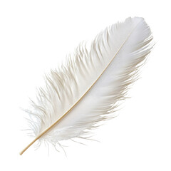 Fototapeta premium delicate white feather with soft, wispy strands, showcasing its natural beauty and elegance. Perfect for artistic and decorative purposes