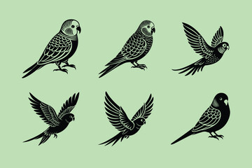 Budgerigar (Budgie) bird, silhouette vector illustration