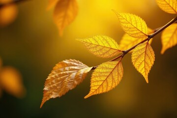 Fototapeta premium Close-up of golden yellow leaf gold foil texture on a branch, tree branches, greenery