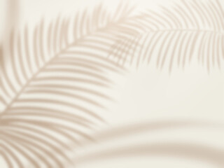 ヤシの葉の影が壁に映るシンプルな背景