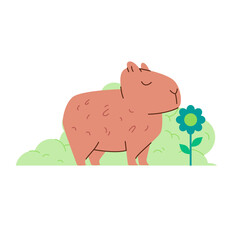 Capybara capibara sniff smell flower furry animal cute vector flat illustration sticker cartoon character
