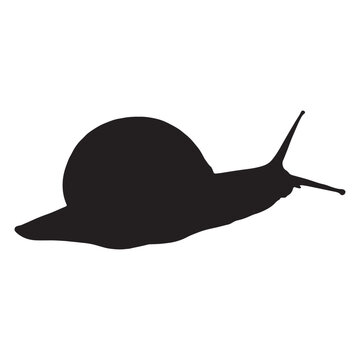 recommend clip art: Snail Silhouette Design for Nature, Animal, and Minimalist Art Projects.eps