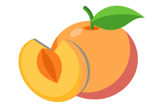 recommend clip art: Peach Fruit with Slice Vector Line Drawing