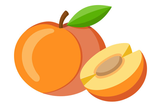 orange peach fruit with green leaf clip art preview