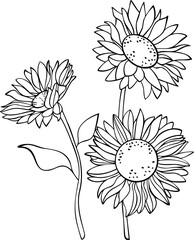 vector illustration of  sunflowers
