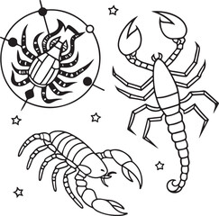 Fototapeta premium Scorpion Zodiac Vector Illustration – Hand Drawn Scorpio Astrology and Insect Line Art