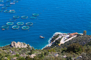 fish farm with floating cages in Greece