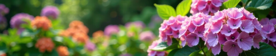 Garden scene with hydrangeas and other flowers, nature, flowers