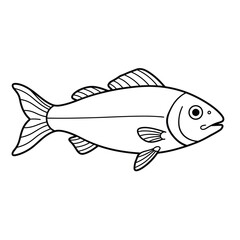 Fish, seafood, sketch. Vintage retro print, seafood salmon fish sketch, sea life, ink pencil style drawing engrave old school sketch, hand drawn. Sketch artwork salmon fish. Vector Illustration