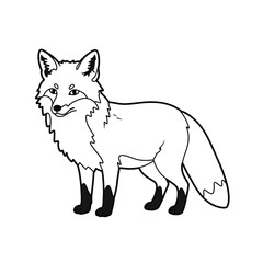 Jungle animals. Cute safari wild mammals. Funny exotic mammal, bird and reptile. Elephant, parrot, lion, crocodile, turtle and palm tree. Kids vector set.