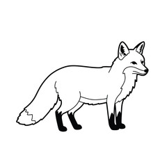 Jungle animals. Cute safari wild mammals. Funny exotic mammal, bird and reptile. Elephant, parrot, lion, crocodile, turtle and palm tree. Kids vector set.