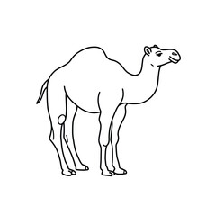 Jungle animals. Cute safari wild mammals. Funny exotic mammal, bird and reptile. Elephant, parrot, lion, crocodile, turtle and palm tree. Kids vector set.