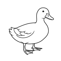 Jungle animals. Cute safari wild mammals. Funny exotic mammal, bird and reptile. Elephant, parrot, lion, crocodile, turtle and palm tree. Kids vector set.