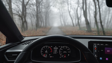 First person view: narrow forest road covered in dense morning fog . Driver's point of view: upper part of steering wheel and dashboard, driving through autumn woodland. 