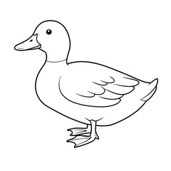 Jungle animals. Cute safari wild mammals. Funny exotic mammal, bird and reptile. Elephant, parrot, lion, crocodile, turtle and palm tree. Kids vector set.