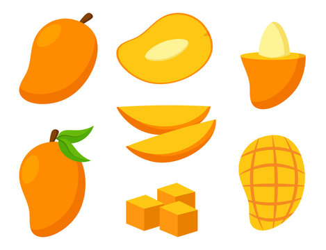Set of tropical mango fruit cartoon summer illustration clipart
