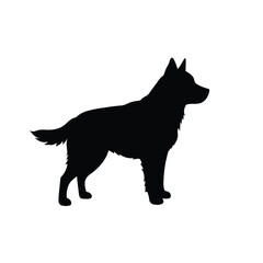 Jungle animals. Cute safari wild mammals. Funny exotic mammal, bird and reptile. Elephant, parrot, lion, crocodile, turtle and palm tree. Kids vector set.