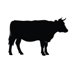 Jungle animals. Cute safari wild mammals. Funny exotic mammal, bird and reptile. Elephant, parrot, lion, crocodile, turtle and palm tree. Kids vector set.