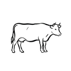 Jungle animals. Cute safari wild mammals. Funny exotic mammal, bird and reptile. Elephant, parrot, lion, crocodile, turtle and palm tree. Kids vector set.