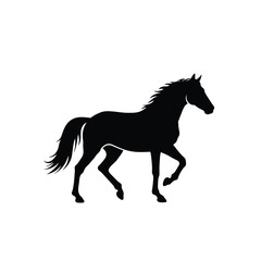 Jungle animals. Cute safari wild mammals. Funny exotic mammal, bird and reptile. Elephant, parrot, lion, crocodile, turtle and palm tree. Kids vector set.