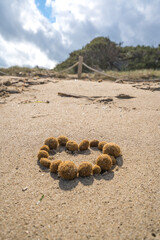 Ein Herz aus Seebällen am Strand