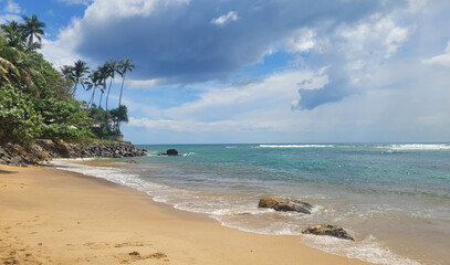 exotic tropical beach in mirissa