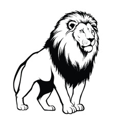 Jungle animals. Cute safari wild mammals. Funny exotic mammal, bird and reptile. Elephant, parrot, lion, crocodile, turtle and palm tree. Kids vector set.