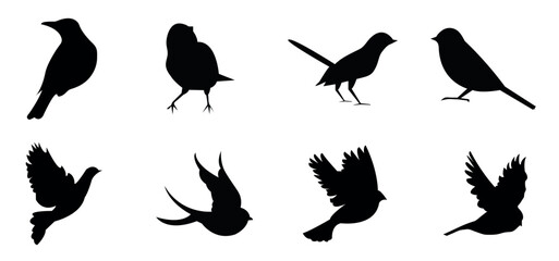 Birds icon set. fly illustration sign collection. nature symbol. Bird's black silhouettes set. bird silhouettes on white background, Set of black bird silhouettes. Vector elements for design. Vector