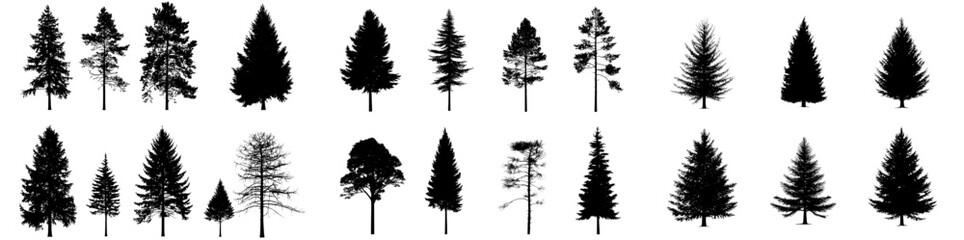 Collection of tree silhouettes in black vector style for diverse design projects