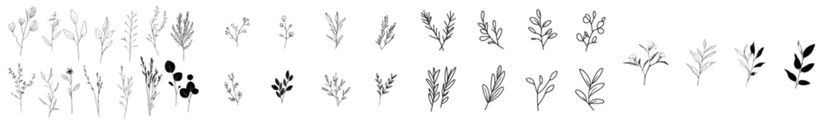 Decorative vector illustration of various hand-drawn plant elements showcasing diverse shapes and sizes for creative design projects