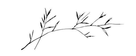 Fototapeta premium Elegant icon vector illustration of a minimalistic branch with delicate leaves