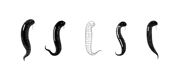 Fototapeta premium Illustration of various worm-like creatures showcasing different shapes and patterns in a vector style