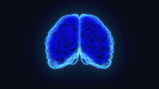 3d Animation of a human brain electrical activity