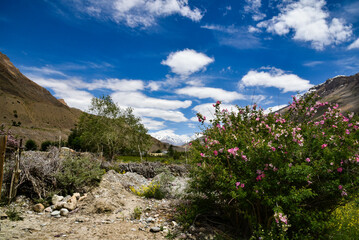 mountain landscape with blue sky and clouds