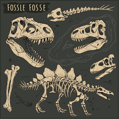 Dinosaurs fossils and bones hand drawn vector illustration © Dimas