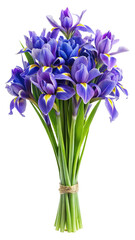 Beautiful bouquet of purple and blue irises with yellow accents on white © Zubaraj