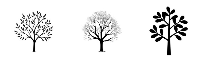 Obraz premium Vector illustration of three distinct tree designs showcasing various leaf styles and structures