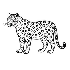 Jungle animals. Cute safari wild mammals. Funny exotic mammal, bird and reptile. Elephant, parrot, lion, crocodile, turtle and palm tree. Kids vector set.