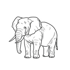 Jungle animals. Cute safari wild mammals. Funny exotic mammal, bird and reptile. Elephant, parrot, lion, crocodile, turtle and palm tree. Kids vector set.