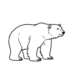 Jungle animals. Cute safari wild mammals. Funny exotic mammal, bird and reptile. Elephant, parrot, lion, crocodile, turtle and palm tree. Kids vector set.